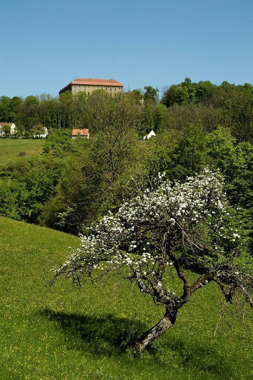 Gasthof Adler Schillingsfürst Exterior foto